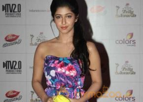 Colors TV Indian Telly Awards 2013  photo 46