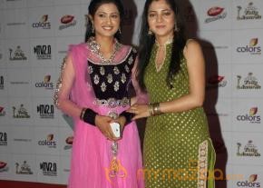 Colors TV Indian Telly Awards 2013  photo 75
