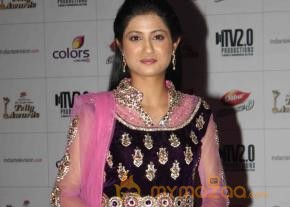 Colors TV Indian Telly Awards 2013  photo 33