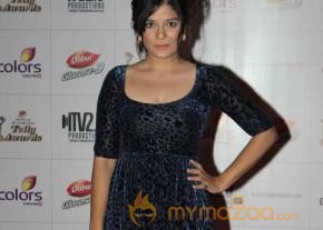 Colors TV Indian Telly Awards 2013  photo 2