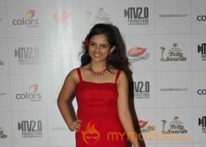 Colors TV Indian Telly Awards 2013  photo 51