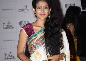 Colors TV Indian Telly Awards 2013  photo 53