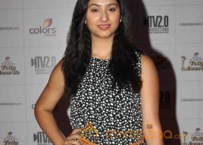 Colors TV Indian Telly Awards 2013  photo 65
