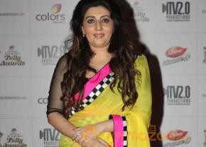 Colors TV Indian Telly Awards 2013  photo 47