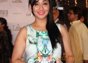 Colors TV Indian Telly Awards 2013  photo 60