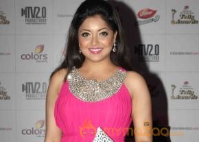 Colors TV Indian Telly Awards 2013  photo 3