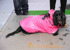 Designer Sonya Vajifdar Launch Her Rainwear   photo 8