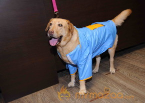 Designer Sonya Vajifdar Launch Her Rainwear   photo 3