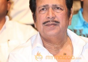 Errabassu Music Launch Photos photo 11