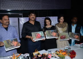 Fashion Calendar 2014 Launch Event Stills photo 82