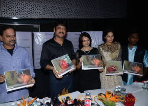 Fashion Calendar 2014 Launch Event Stills photo 9