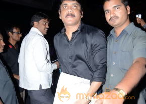 Fashion Calendar 2014 Launch Event Stills photo 61
