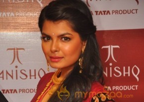Fashion Show at Tanishq Jewellery Launch  photo 24