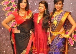 Fashion Show at Tanishq Jewellery Launch  photo 33