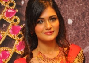 Fashion Show at Tanishq Jewellery Launch  photo 15