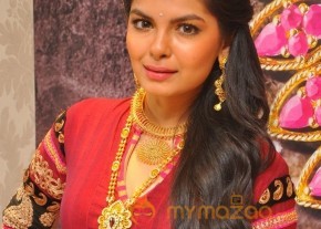 Fashion Show at Tanishq Jewellery Launch  photo 29