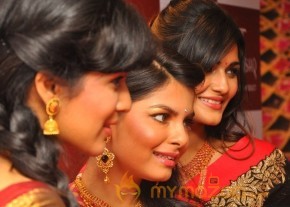 Fashion Show at Tanishq Jewellery Launch  photo 10