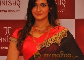 Fashion Show at Tanishq Jewellery Launch  photo 20