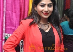 Gate Movie Team at Hastashilpi Silk India Expo Event Gallery photo 36