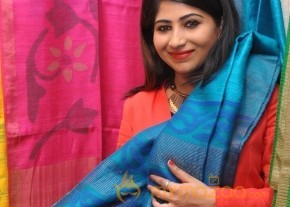 Gate Movie Team at Hastashilpi Silk India Expo Event Gallery photo 7