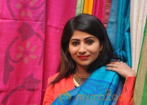 Gate Movie Team at Hastashilpi Silk India Expo Event Gallery photo 27