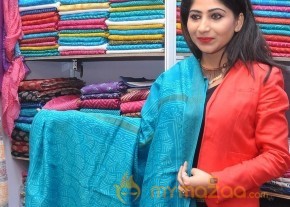 Gate Movie Team at Hastashilpi Silk India Expo Event Gallery