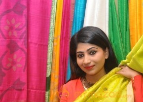 Gate Movie Team at Hastashilpi Silk India Expo Event Gallery photo 19