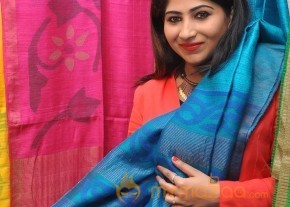 Gate Movie Team at Hastashilpi Silk India Expo Event Gallery photo 31