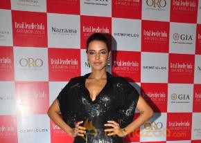Gemfields RioTinto Jeweller India Awards 2013  photo 12