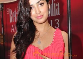 Gemfields RioTinto Jeweller India Awards 2013  photo 30