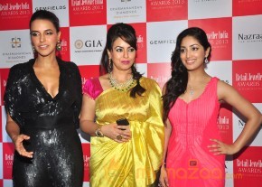 Gemfields RioTinto Jeweller India Awards 2013  photo 10