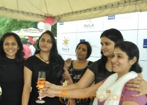 Grape Stomping Brunch Celebrations Gallery photo 18