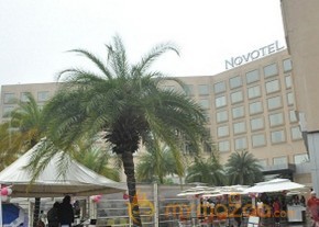 Grape Stomping Brunch Celebrations Gallery photo 8