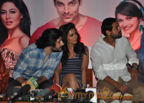 I Me Aur Main Movie Press Meet Photos photo 4
