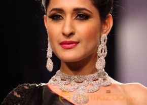 India International Jewelry Week 2013 Photos photo 25