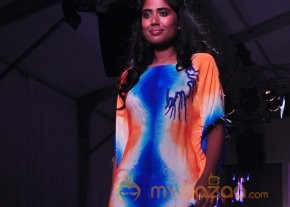India Resortwear Fashion Week 2013 Photos photo 19