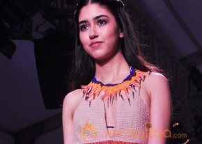 India Resortwear Fashion Week 2013 Photos photo 2
