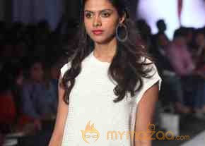 India Resortwear Fashion Week 2013 Photos photo 35