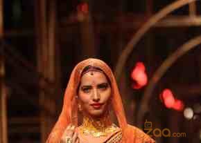 Indian Bridal Fashion Week 2013 Photos photo 48