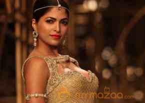 Indian Bridal Fashion Week 2013 Photos photo 50