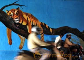 India's Amazing Street Art Photos photo 2