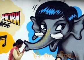 India's Amazing Street Art Photos photo 9