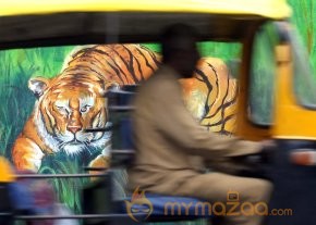 India's Amazing Street Art Photos photo 13