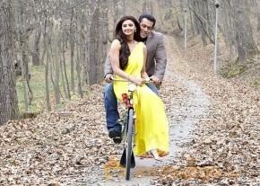 Jai Ho Movie Latest Photos photo 5