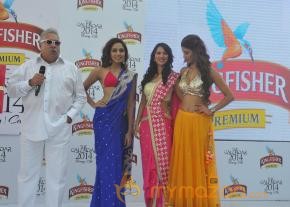 Kingfisher Calendar 2014 Launch Photos photo 18