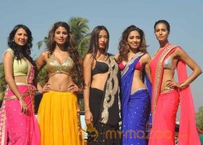Kingfisher Calendar 2014 Launch Photos photo 8