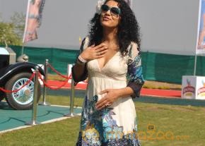 Kingfisher Calendar 2014 Launch Photos photo 11