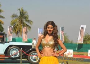 Kingfisher Calendar 2014 Launch Photos photo 38