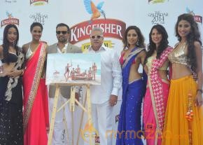 Kingfisher Calendar 2014 Launch Photos photo 27