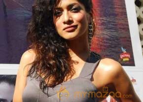 Kingfisher Calender Launch  photo 29